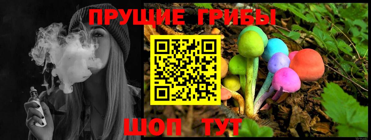 Псилоцибиновые грибы Magic Shrooms  Вход с VPN  Псилоцибиновые грибы GOLDEN TEACHER  Дзержинский 
